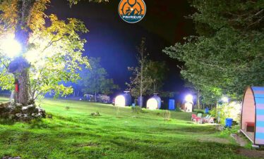 Tents under starry night sky in Sharan Forest campsite