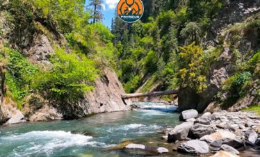 Trekking through a lush forest trail in Sharan Valley