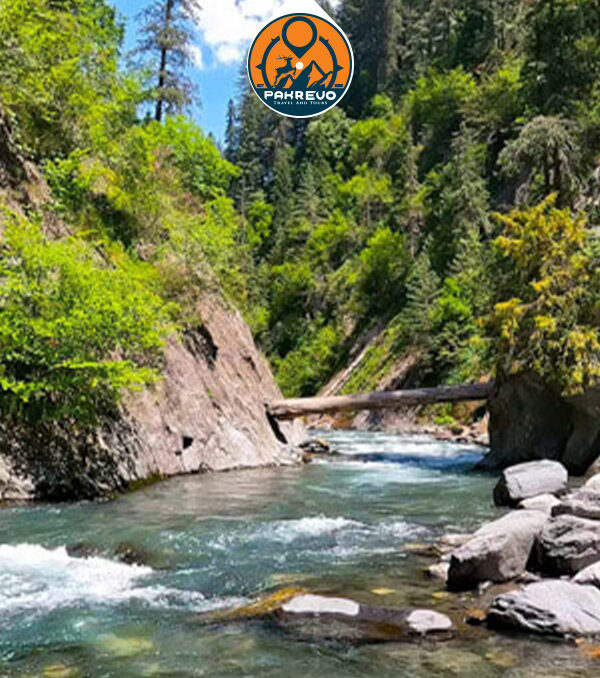 Trekking through a lush forest trail in Sharan Valley