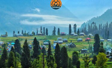 Pine-clad slopes and wooden huts in Upper Kel, Neelum Valley