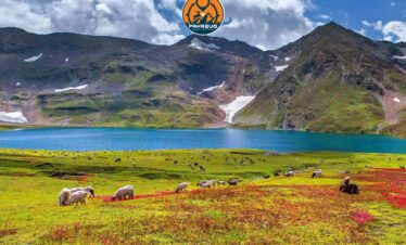 Vast wildflower meadows of Deosai Plains in Skardu region