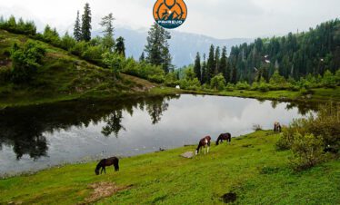 Group hiking together to Siri Paye Meadows from Shogran