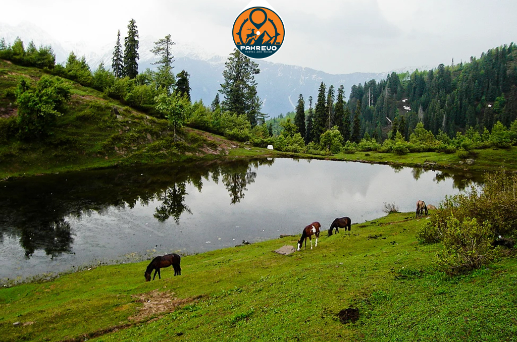 Group hiking together to Siri Paye Meadows from Shogran
