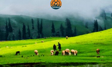 Cozy honeymoon cabin at Siri Paye Meadows, Shogran