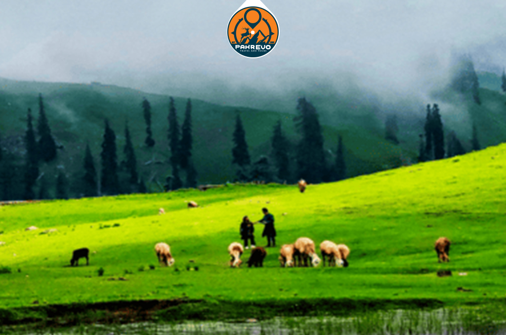 Cozy honeymoon cabin at Siri Paye Meadows, Shogran