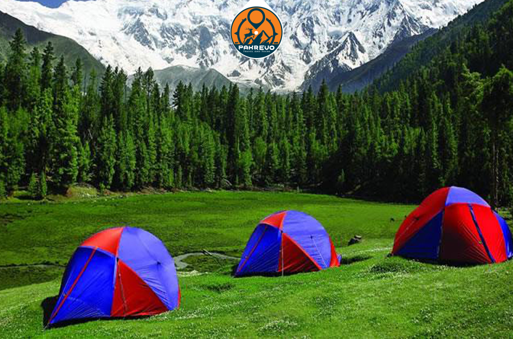 Group of students camping under the stars at Fairy Meadows