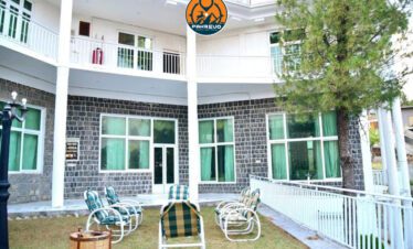 Corporate team doing icebreaker activities amid pine trees in Murree