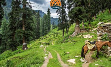 Local villagers and wooden houses in Siran Valley
