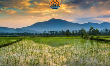 Sunrise over pine-covered mountains in Siran Valley