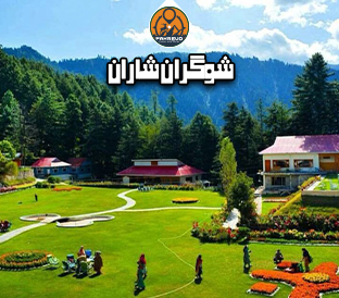 Shogran meadows and Sharan forest with pine trees and misty mountain views