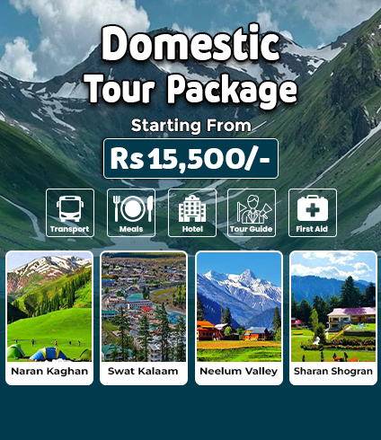 Popular domestic tour packages for Northern Pakistan including Hunza, Skardu, Swat, and Naran
