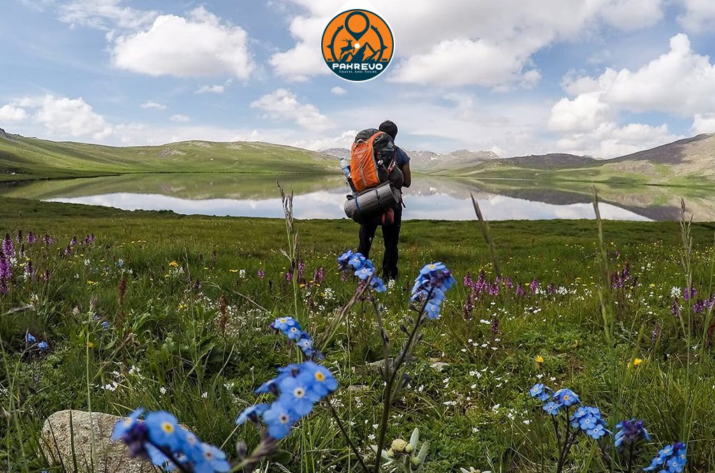 Hikers trekking through Deosai Plains wildflower meadows