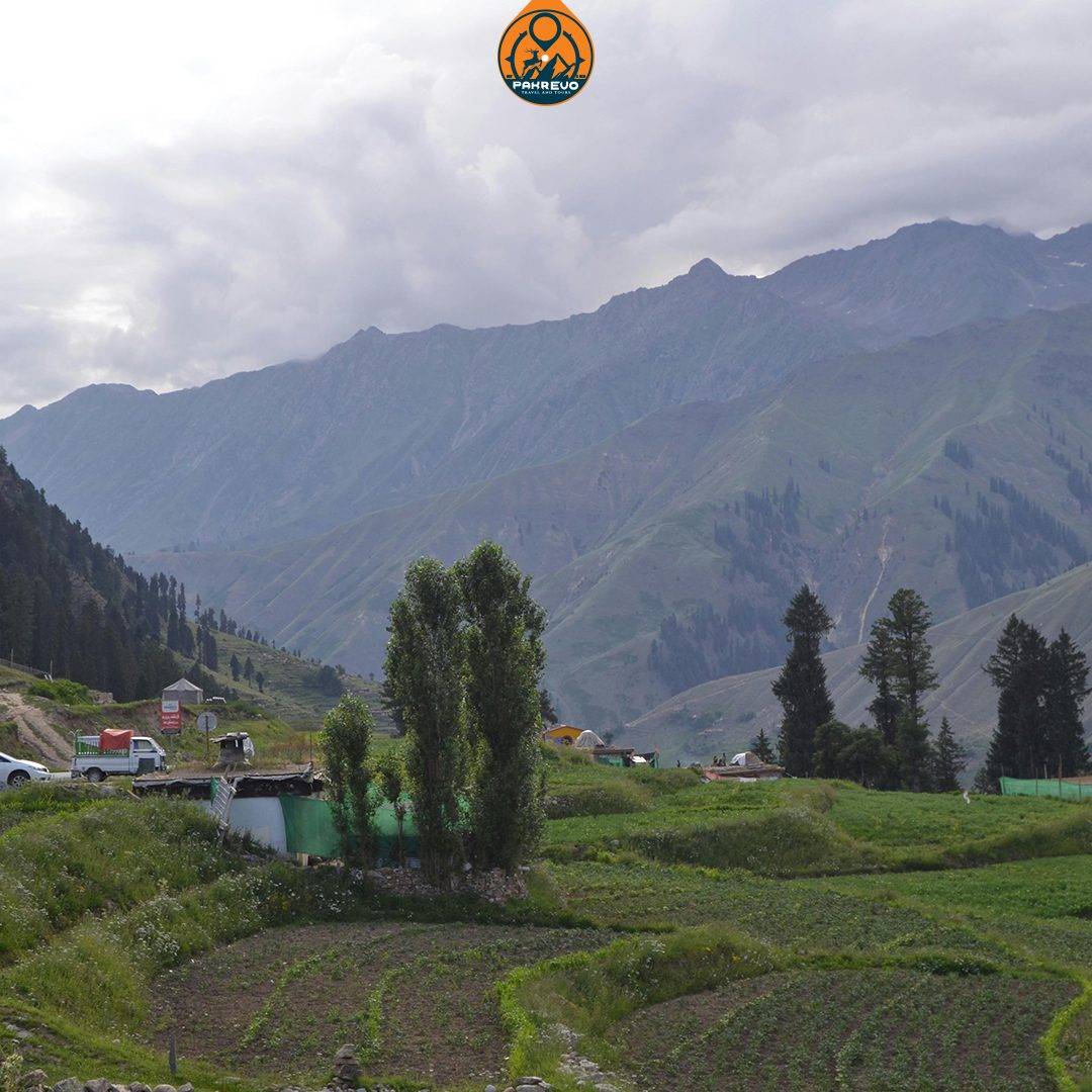 Explore the natural beauty of Naran Valley with PakRevo Travel and Tours